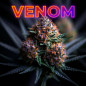Fleurs CBD Venom - Indoor Premium